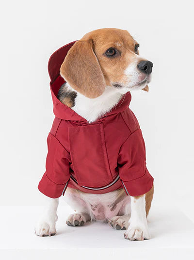 Dog Raincoat - Adjustable Velcro Belt Width Waterproof Windproof Casual Hooded Jacket