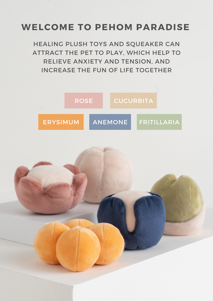 Pet Plush Toy - Anemone